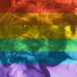 Meet your Posher, Joanne